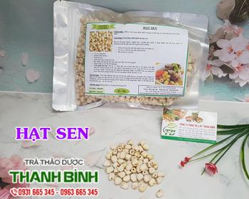 Mua bán hạt sen tại khánh hòa hỗ trợ đẩy lùi chứng mất ngủ uy tín nhất
