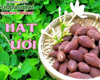 Mua bán hạt ươi ở huyện hóc môn giúp cải thiện chứng ợ nóng hiệu quả