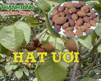 Mua bán hạt ươi ở quận tân bình hỗ trợ điều trị viêm họng viêm amidan