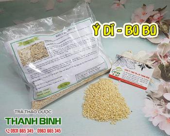 Mua bán ý dĩ tại quận 4 giúp tăng cường chức năng cho phổi rất tốt