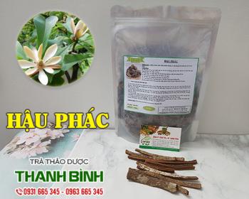 Mua bán hậu phác tại sơn tây giúp điều trị táo bón hiệu quả nhất