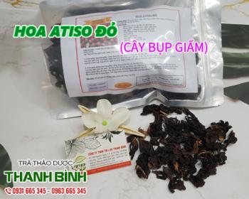 Mua bán cây bụp giấm ở quận tân bình có tác dụng giảm cholesterol