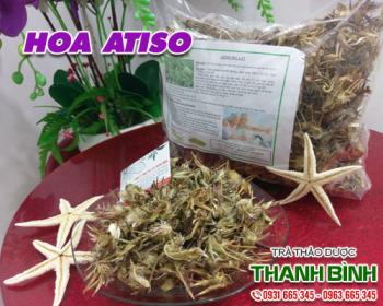 Mua hoa atiso giá rẻ uy tín chất lượng nhất ở đâu?