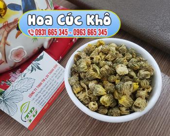 Uống trà hoa cúc khô giúp dịu thần kinh, trị mất ngủ hiệu quả Uống trà hoa cúc khô giúp dịu thần kinh, trị mất ngủ hiệu quả