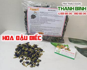 địa chỉ bán hoa đậu biếc tăng cường chức năng cho thị lực và não bộ