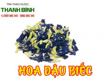 Mua bán hoa đậu biếc tại quận 3 ngăn ngừa lão hóa sớm giúp đẹp da đẹp tóc