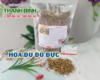 Mua bán hoa đu đủ đực ở quận bình thạnh hỗ trợ điều trị bệnh ung thư