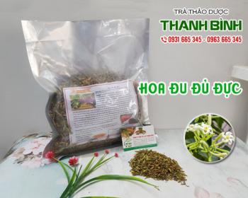 Mua bán hoa đu đủ đực tại quận đống đa bổ sung dinh dưỡng cho cơ thể