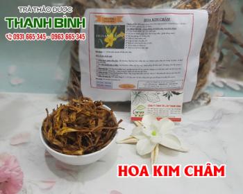 Mua bán hoa kim châm tại huyện thanh trì có tác dụng chữa viêm tai giữa