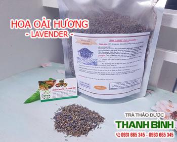 Mua hoa oải hương giá rẻ uy tín chất lượng nhất ở đâu?