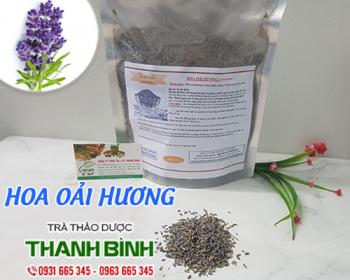 Mua bán hoa oải hương tại huyện mê linh hỗ trợ khử mùi trong phòng
