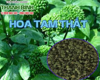 Mua bán hoa tam thất tại quận 2 có thể trấn an tinh thần chống mất ngủ
