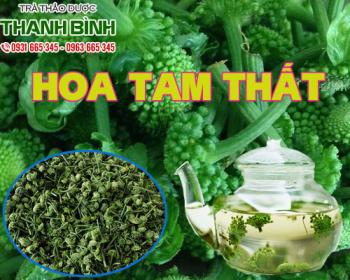 Mua bán hoa tam thất ở quận bình tân giúp loại bỏ mỡ thừa giảm cân hiệu quả 