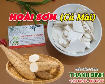 Mua bán hoài sơn tại quận 1 tăng cường chức năng hệ tiêu hóa