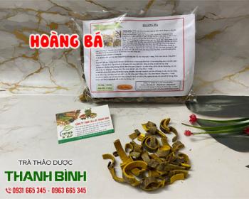 Hoàng bá [hình ảnh, tác dụng, cách dùng] mua ở đâu chất lượng nhất ?