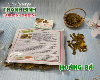 Mua bán hoàng bá tại huyện đan phượng có khả năng điều trị thương hàn