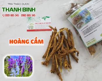 Mua bán hoàng cầm ở đâu tại hà nội uy tín chất lượng nhất ?