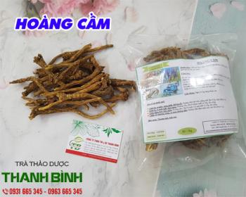 Công dụng của hoàng cầm chữa các bệnh về hệ tiêu hóa hiệu quả nhất