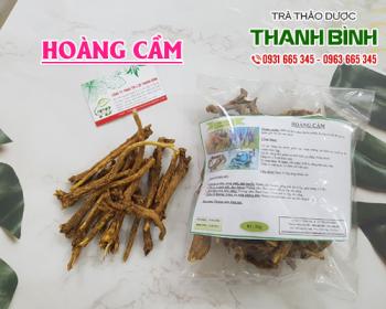 Mua bán hoàng cầm tại huyện sóc sơn giúp chữa rong kinh hiệu quả nhất