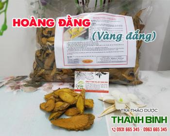 Mua bán hoàng đằng tại quận 12 sử dụng giúp thanh nhiệt cơ thể 
