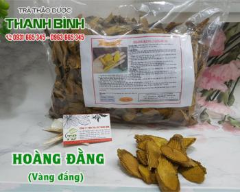 Mua bán hoàng đằng tại sơn tây ức chế các vi khuẩn gây bệnh đường ruột