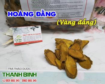 Mua bán hoàng đằng tại tphcm uy tín chất lượng tốt nhất