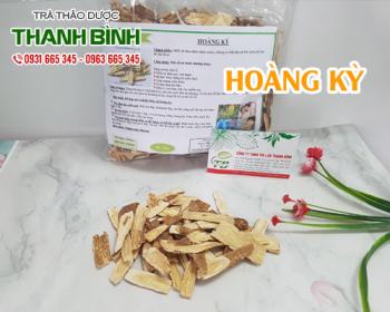 Mua bán hoàng kỳ tại quận 9 có tác dụng điều trị cảm cúm và viêm phế quản