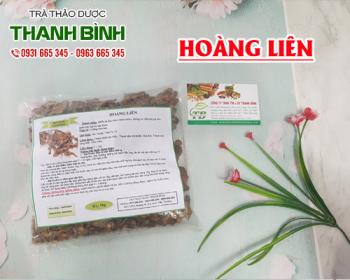 Cách sử dụng hoàng liên trong điều trị đau mắt đỏ hiệu quả tốt nhất