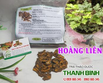 Mua bán hoàng liên tại quận ba đình giúp thanh nhiệt hiệu quả nhất