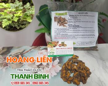 Mua bán hoàng liên tại bến tre giúp điều trị tiêu chảy uy tín nhất