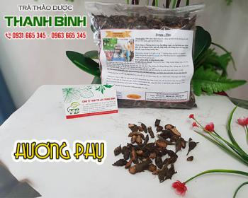 Mua bán hương phụ ở huyện hóc môn giúp điều trị rối loạn tiêu hóa, ăn kém