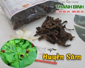 Cách sử dụng huyền sâm trong điều trị huyết áp cao hiệu quả nhất