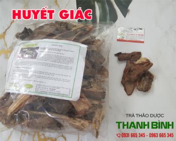 Mua bán huyết giác tại quận 3 có công dụng trị chảy máu cam