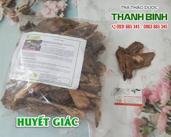 Mua bán huyết giác tại huyện hoài đức giúp điều hòa kinh nguyệt rất tốt