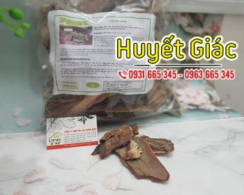 Công dụng của huyết giác trong việc bổ máu và trị vết thương hở