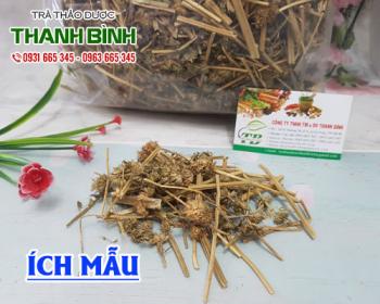 Mua bán ích mẫu ở huyện bình chánh giúp lợi tiểu và giảm đau bụng kinh