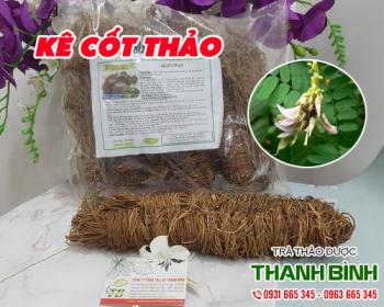 Mua bán kê cốt thảo ở quận tân phú giúp cắt các cơn đau mỏi