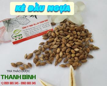 Mua bán ké đầu ngựa ở huyện nhà bè giúp điều trị viêm mũi dị ứng