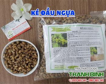 Mua bán ké đầu ngựa tại huyện đông anh điều trị viêm đường tiết niệu