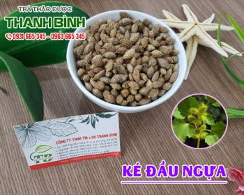 Mua bán ké đầu ngựa tại sơn tây giúp cải thiện tình trạng đau nhức răng