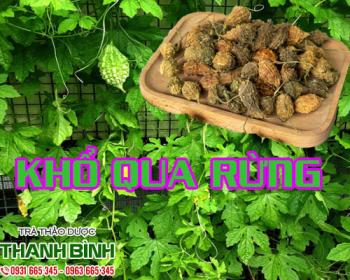 Mua bán khổ qua rừng tại quận 12 có tác dụng tiêu diệt tế bào ung thư