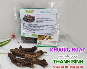 Mua bán khương hoạt tại hải phòng dùng điều trị đau nhức do thấp khớp