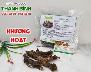 địa điểm bán khương hoạt tăng cường đào thải độc tố ra khỏi cơ thể