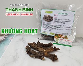 Mua bán khương hoạt tại huyện thanh oai hỗ trợ giải nhiệt thanh lọc cơ thể