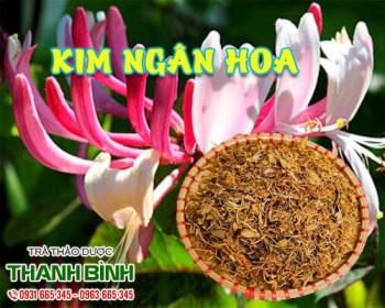 Mua bán kim ngân hoa ở huyện nhà bè giúp chữa trị tiểu tiện ra máu