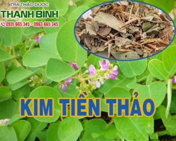 Mua bán kim tiền thảo tại quận 10 làm giảm nồng độ canxi trong nước tiểu