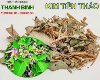 địa điểm bán kim tiền thảo trị bệnh viêm gan uy tín chất lượng nhất