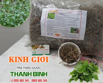 Mua bán kinh giới tại huyện gia lâm giúp điều trị đau đầu uy tín nhất