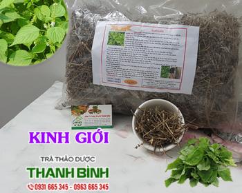 Mua bán kinh giới tại dak nông giúp điều trị viêm họng uy tín nhất