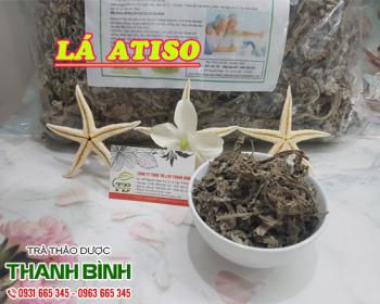 Công dụng của lá atiso trong phục hồi chức năng gan hiệu quả nhất